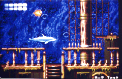 Ecco the Dolphin