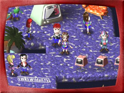 SWR3 Wildall TV - so sieht das dann aus.