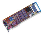 GLoria XL Card
